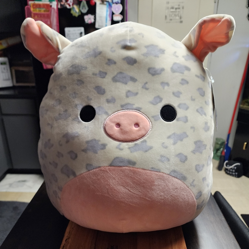 Squishmallow - Rosie #1